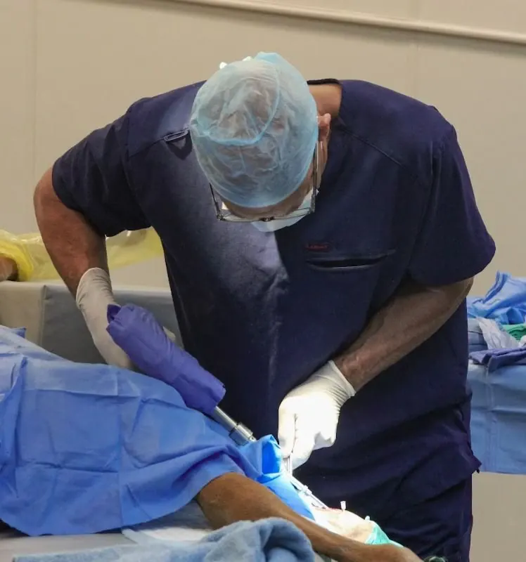 Veterinary surgeon in the surgery suite